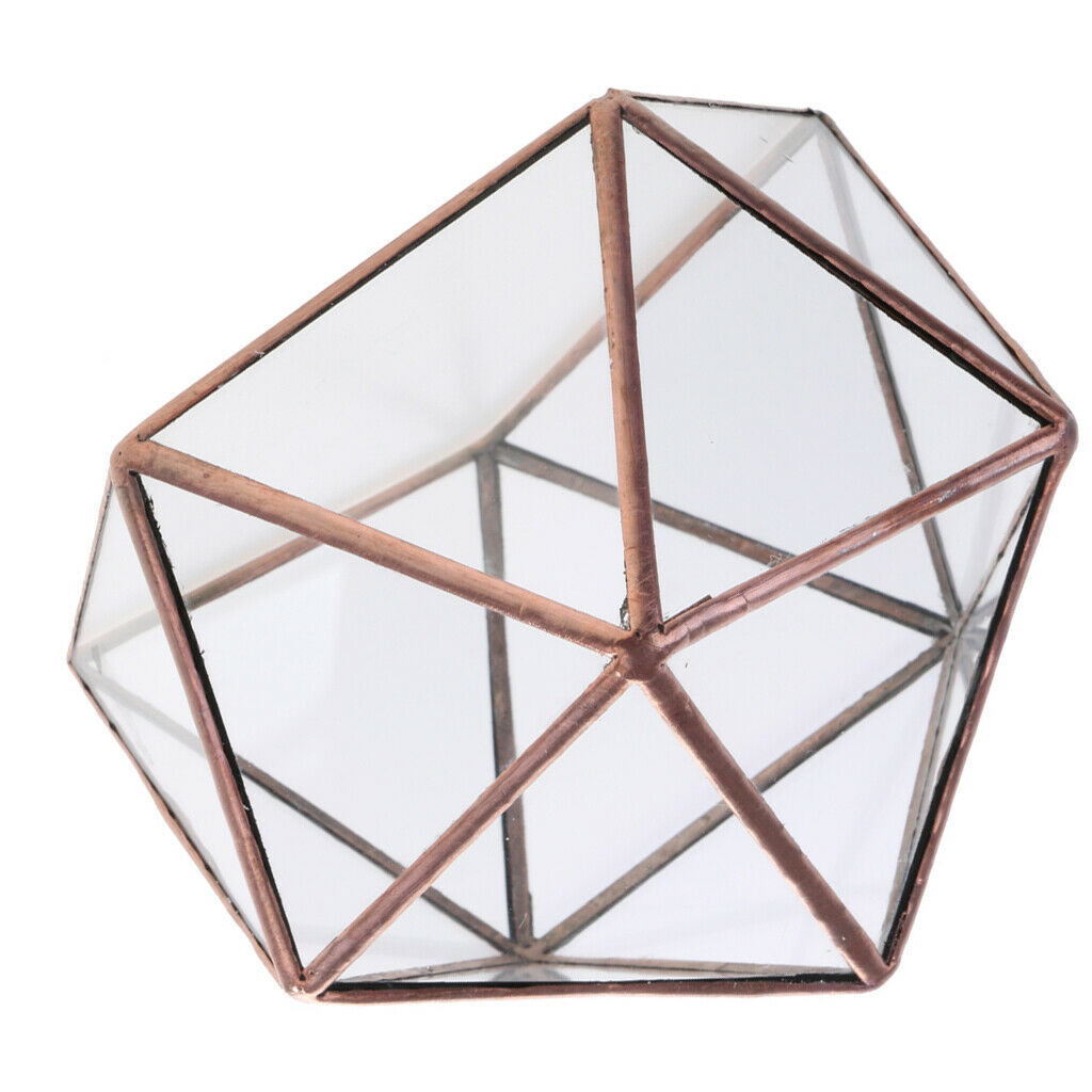 2x Glass Brass Terrarium Box Tabletop Succulent Plant Planter Flower Pot