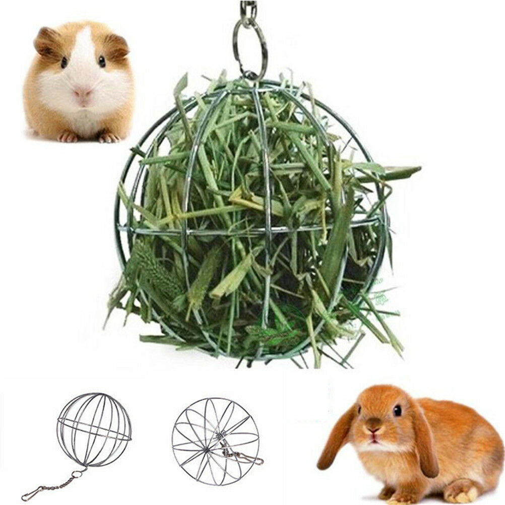 Stainless Steel Round Sphere Food Feed Dispenser Rabbit Pet Hanging Ball T.l8