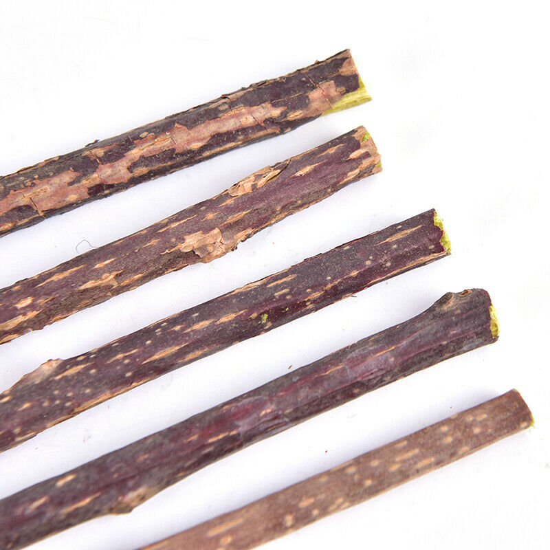 5PCS Cat cleaning teeth silvervine actinidia cat snacks sticks tooth c_.l8