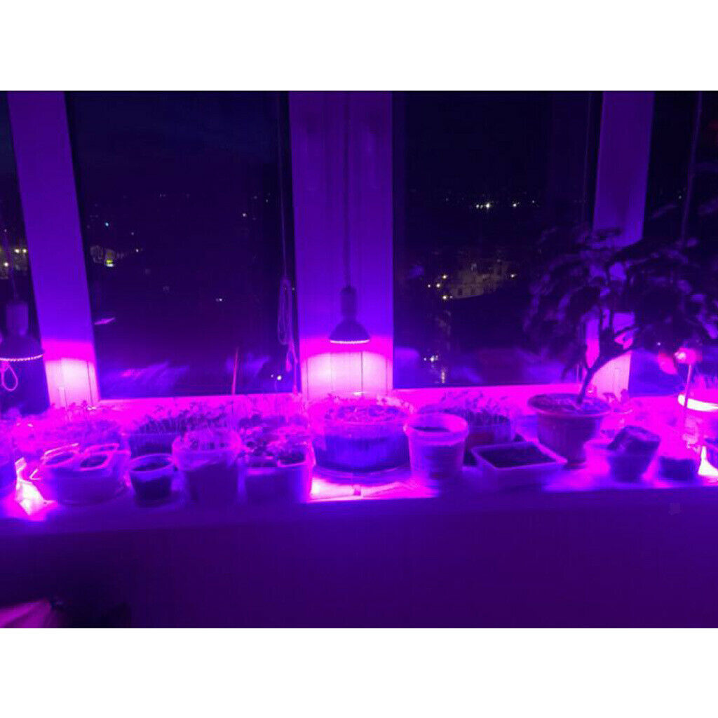 LED Grow Light Bub Fruit Flower Plant Grow Lamp for Indoor Plants  1