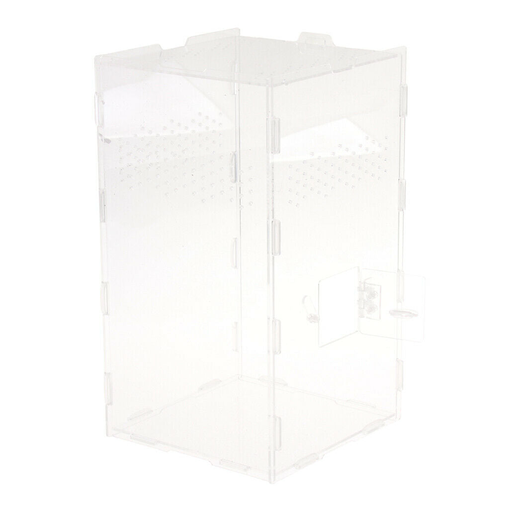 Acrylic Reptile & Amphibian Terrarium Tank For Lizard Turtle Spider