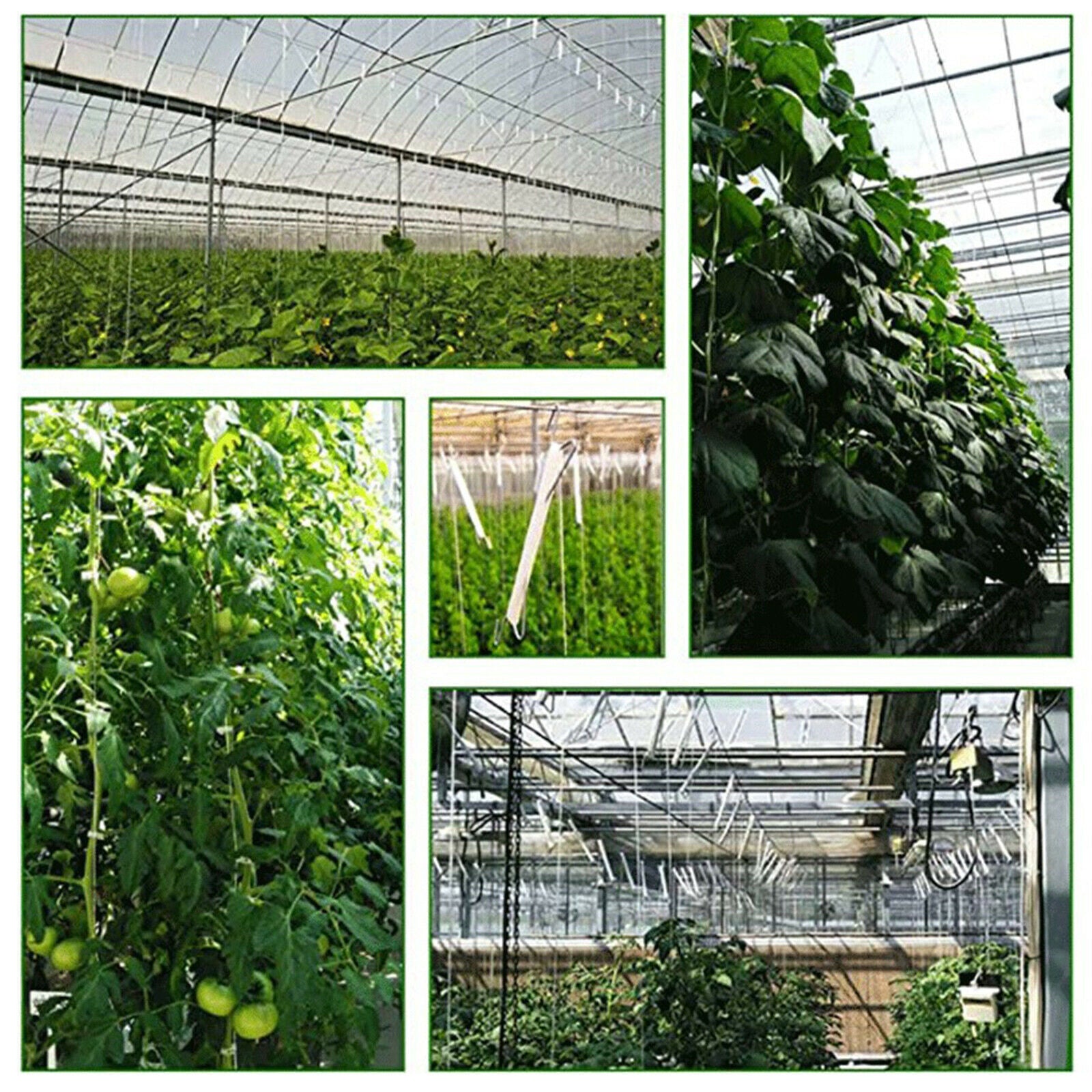 10x Tomato Double Hook Planting Cucumber Fruit Tomato Support Hook