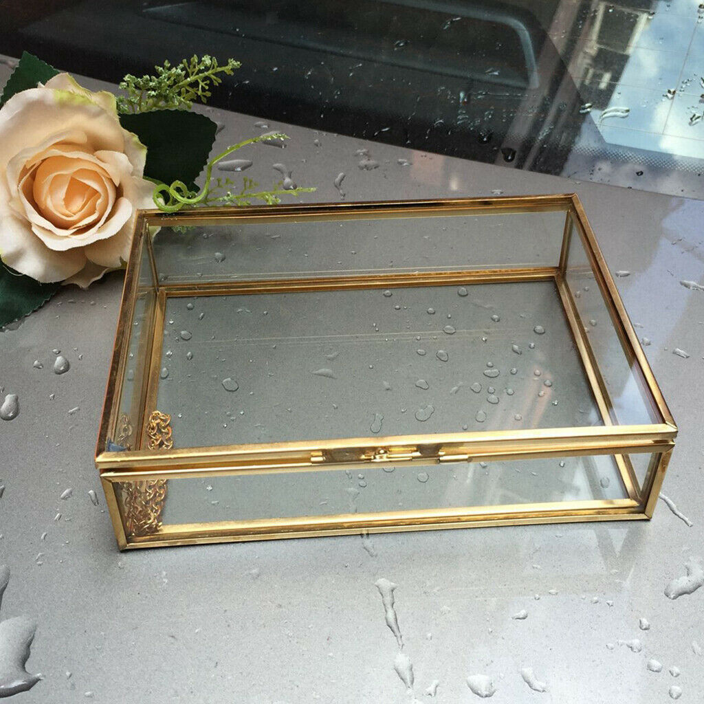 Geometric Terrarium Clear Jewelry Case Succulent Plants Container 10x7x6cm