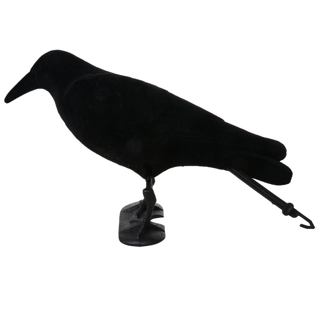 Flocked Hard Realistic Calling Crow Decoy Vermin Rook Decoying Hunting