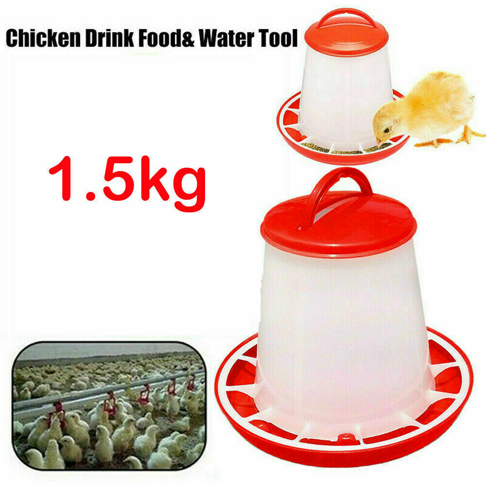 1.5L Automatic Bird Chook Poultry Feeder Drinker Chicken Poultry Waterer Kettle.