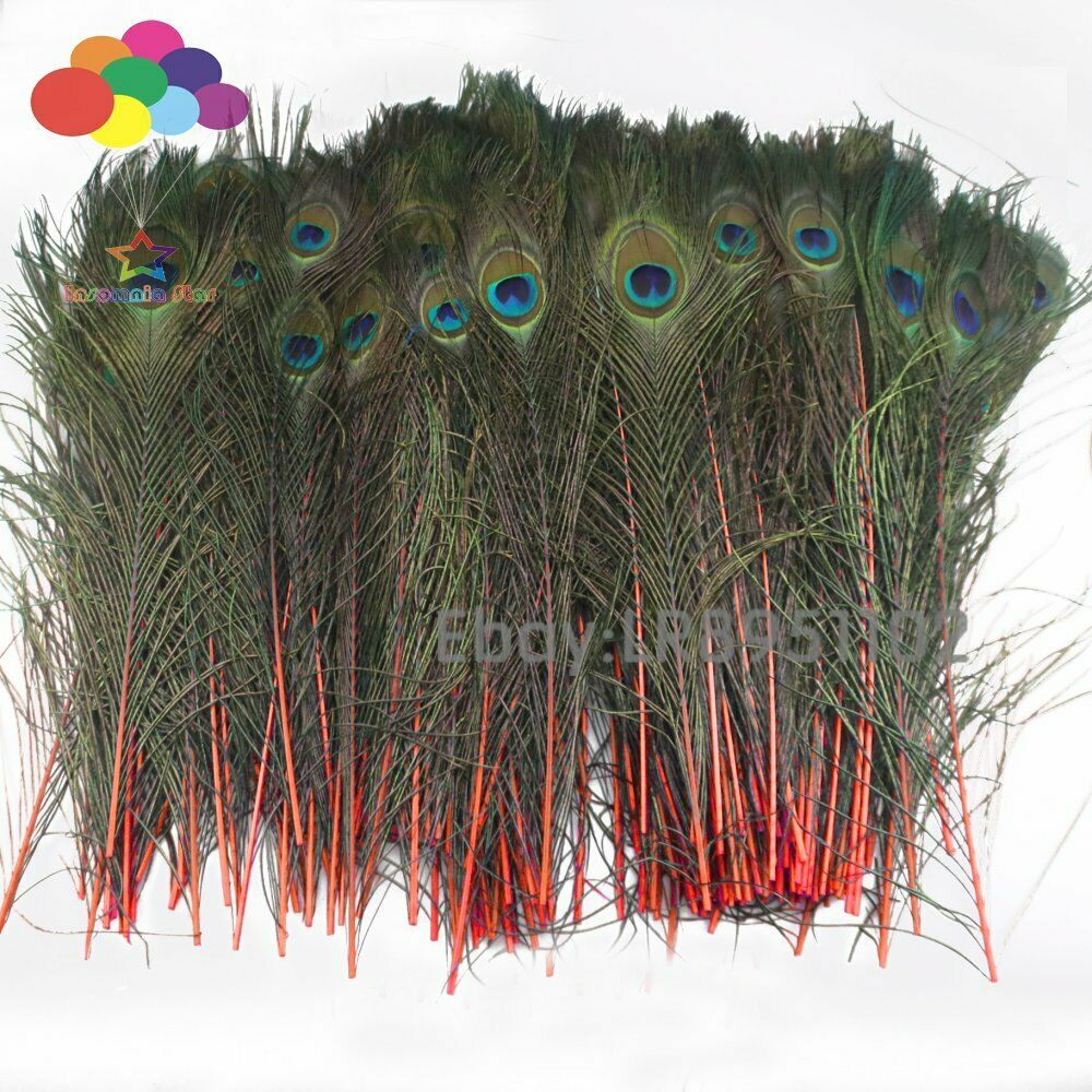 100 PCS Natural Peacock Feather Red 40-45 cm Clothing Decoration Plumage Crafts
