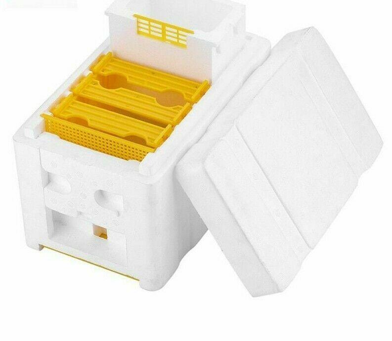 Queen Bee Rearing Mating Hive Tools Equipment Kit Beekeeping Tool Beehive Box