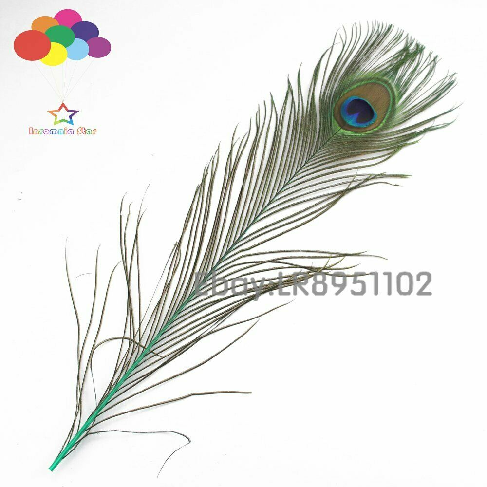 New 100 PCS Mint Peacock Feather 40-45 cm DIY Clothing Decoration Plumage Crafts