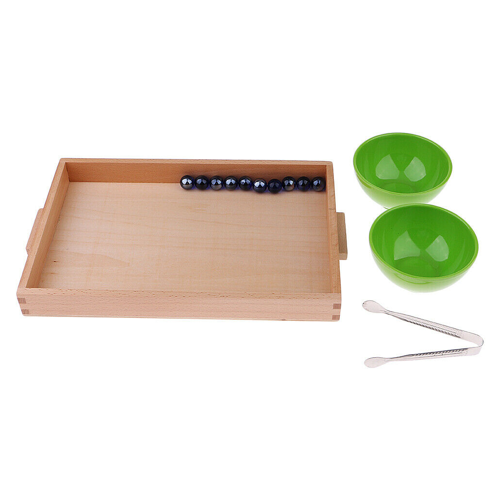 Montessori Transferring Activity Set for Children Kids Educational Toys
