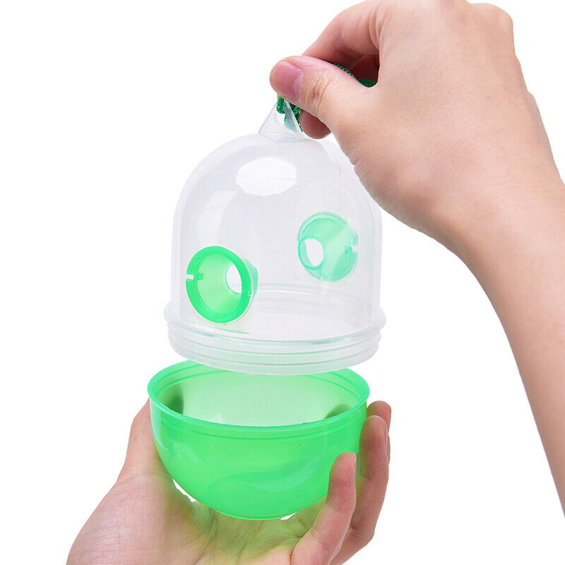 4PCS Wasp Trap Kill Pest Fruit Fly Reject Hornet Catcher Hanging Garden ToolBDA