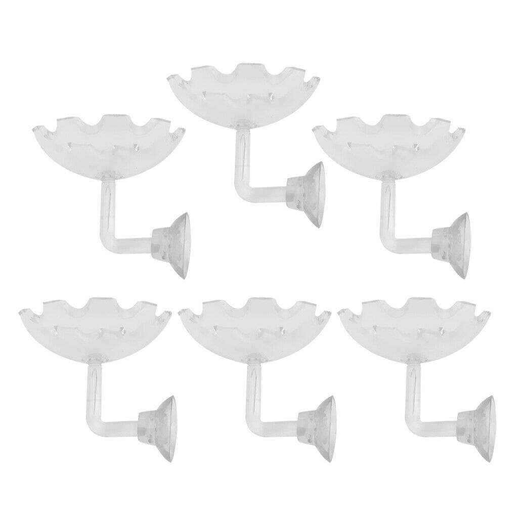 6x Shrimp Feeding Bowl Dish Food Round Dishes Small Fish Feeding Bowl Ornamental