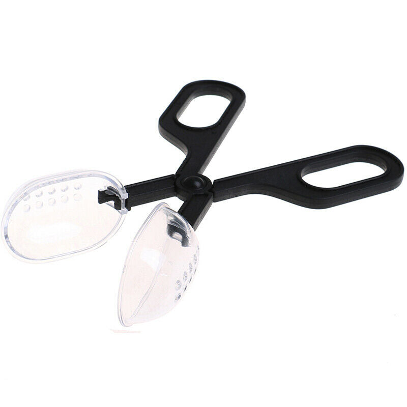 Reptile Supplies Climbing Pet Clips Feeding Reptiles Insect Breeding Worm ClipDD