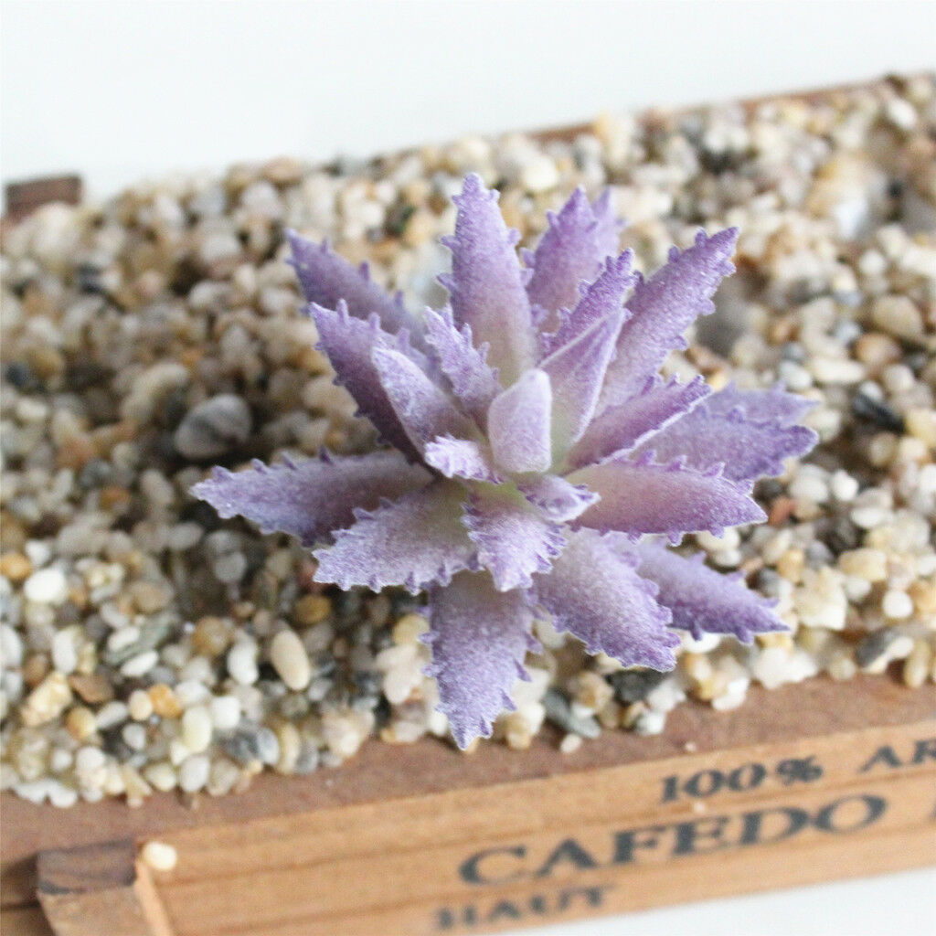 Lifelike Artificial Succulent Home Office DIY Unpotted Faux Foliage Plant #4