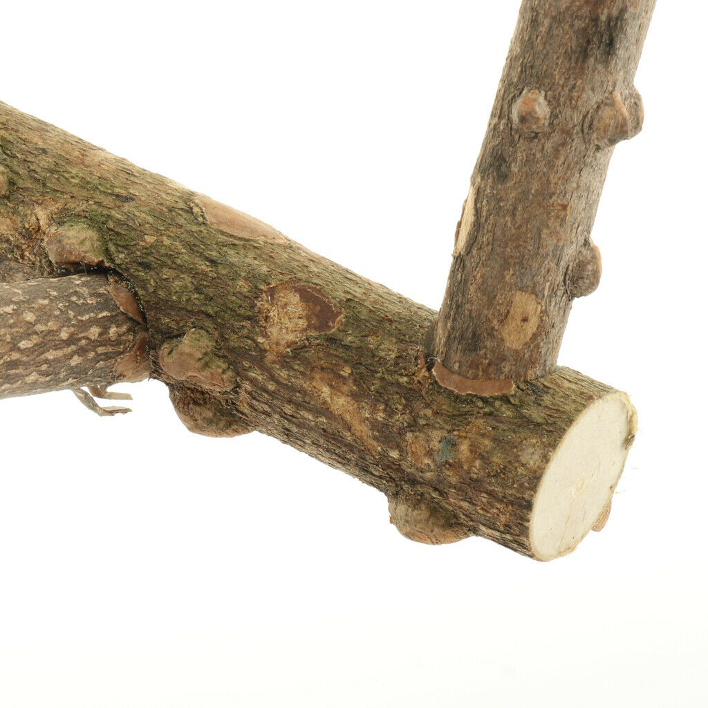 Bird Swing Natural Wood Swing Bird Toys for Birds Parrots Budgies Cockatiels