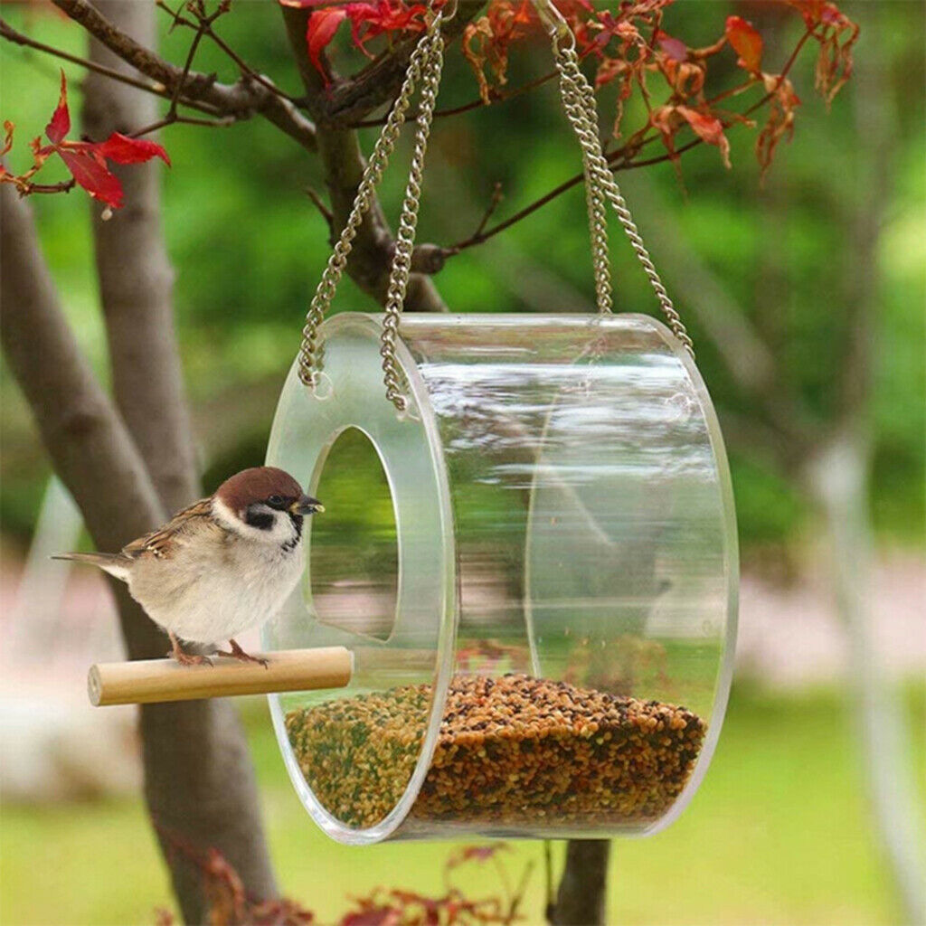 Window Bird Feeder Food Box - Clear Acrylic - Removable Slide Out Tray Outdoor