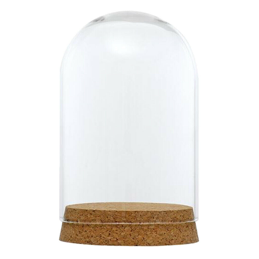 2Pieces 8x12 & 6.5x10cm Glass Dome Cover Cloche Bell Jar Terrariums with Wood