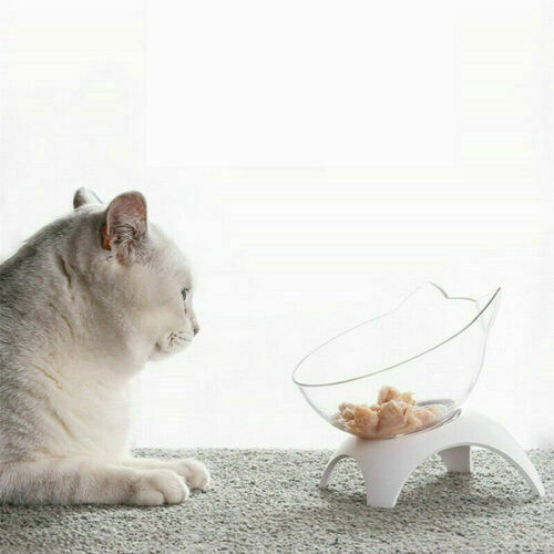 Simple Raised Pet Bowl Cat Dog Feeder Food Water Elevated Lifted Stand Bowls SJ