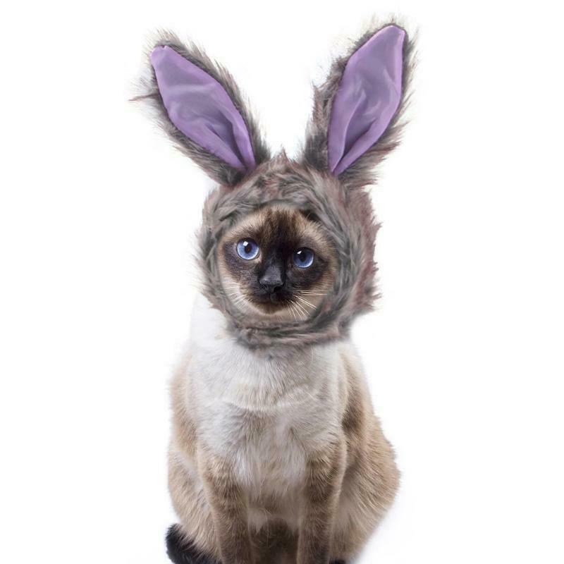 Pet Puppy Dog Cat's Hat Holiday Decoration Headgear Pet Supplies Funny Gift Cute