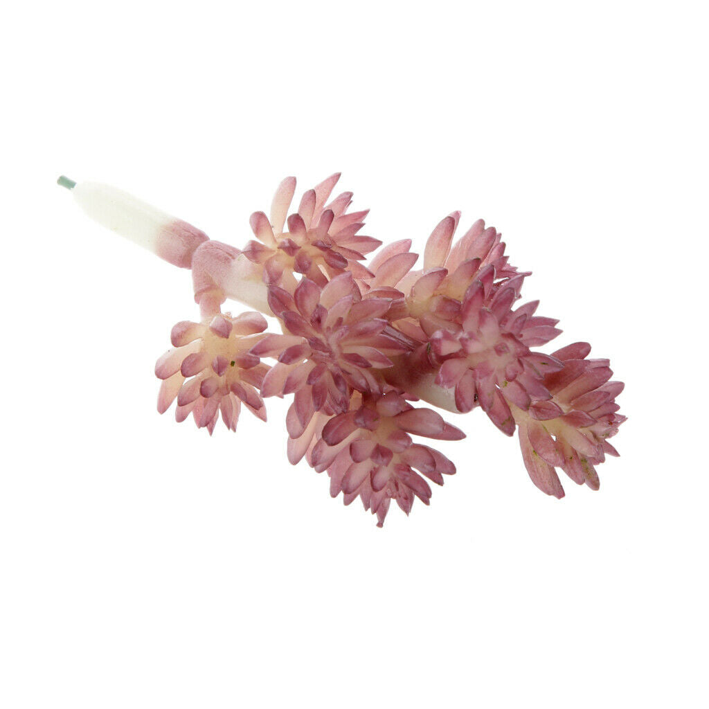 Artificial Foliage Succulent Sedum Hispanicu Plants Wedding Party Decor DIY