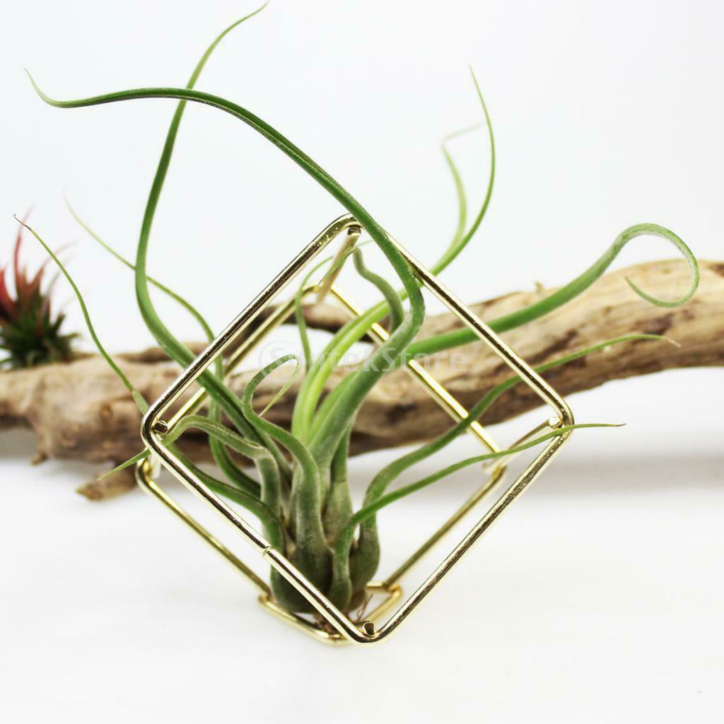 Creative DIY Wedding Centrepiece Garden Flower Holder Decoration Brass