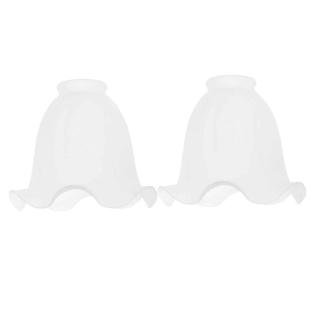 2Pcs Ceiling Light Shade Suitable for Chandelier, Ceiling Lamp, Wall Lamp