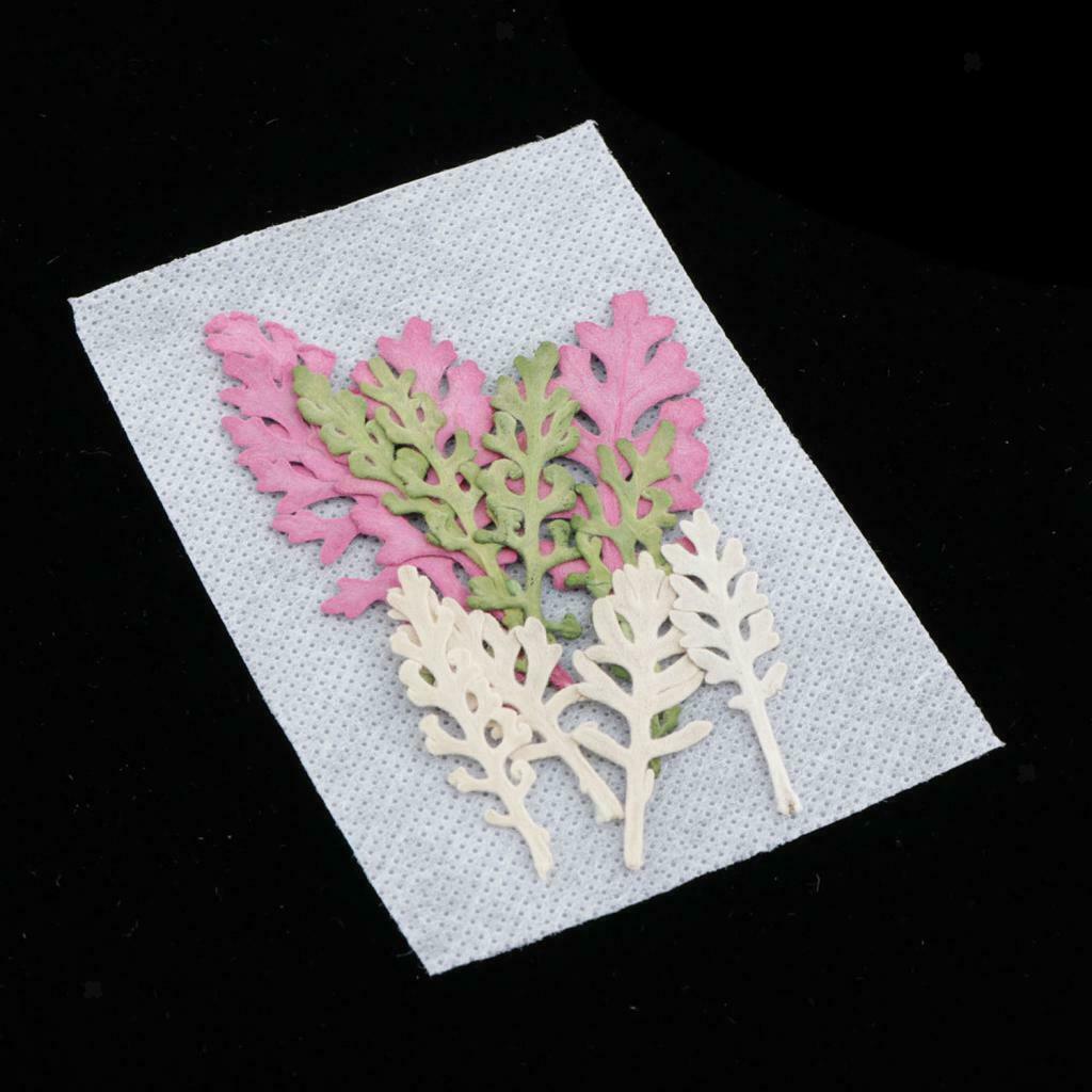 12Pcs Dry Press Flower Natural Pressed Dried Dusty Miller Leaves for Nails Art
