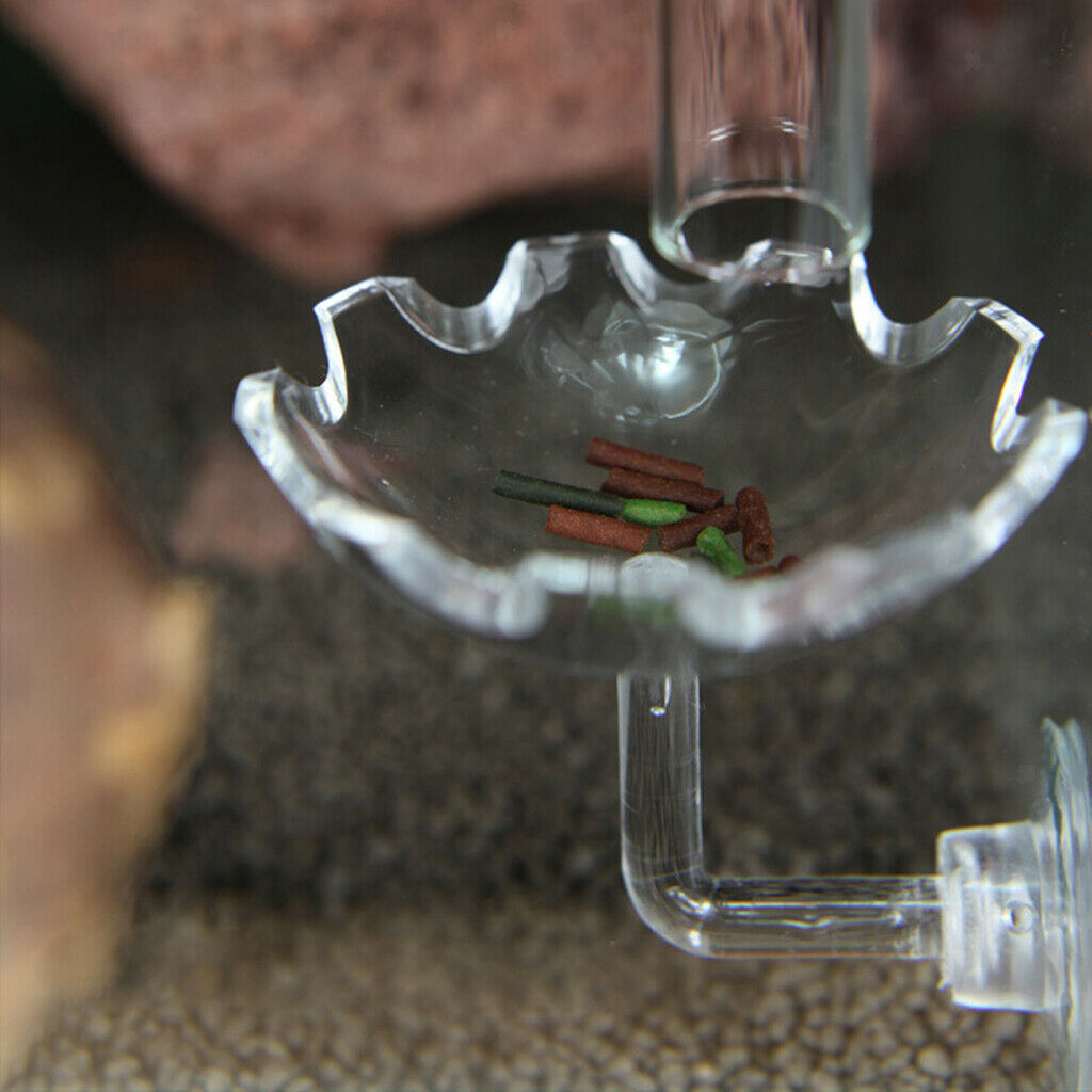 Tank Feeding Food Water Bowl Feeder Transparent Acrylic Tray for Aquarium
