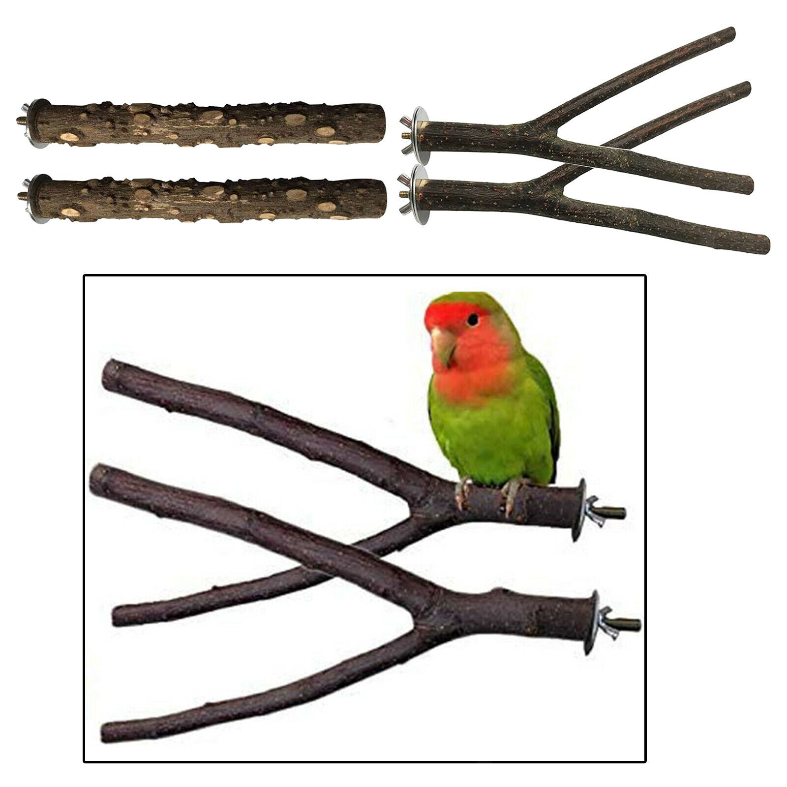 4Pack Wood Parrot Stand Tree Branch Toys Perch Climbing Grinding Standing