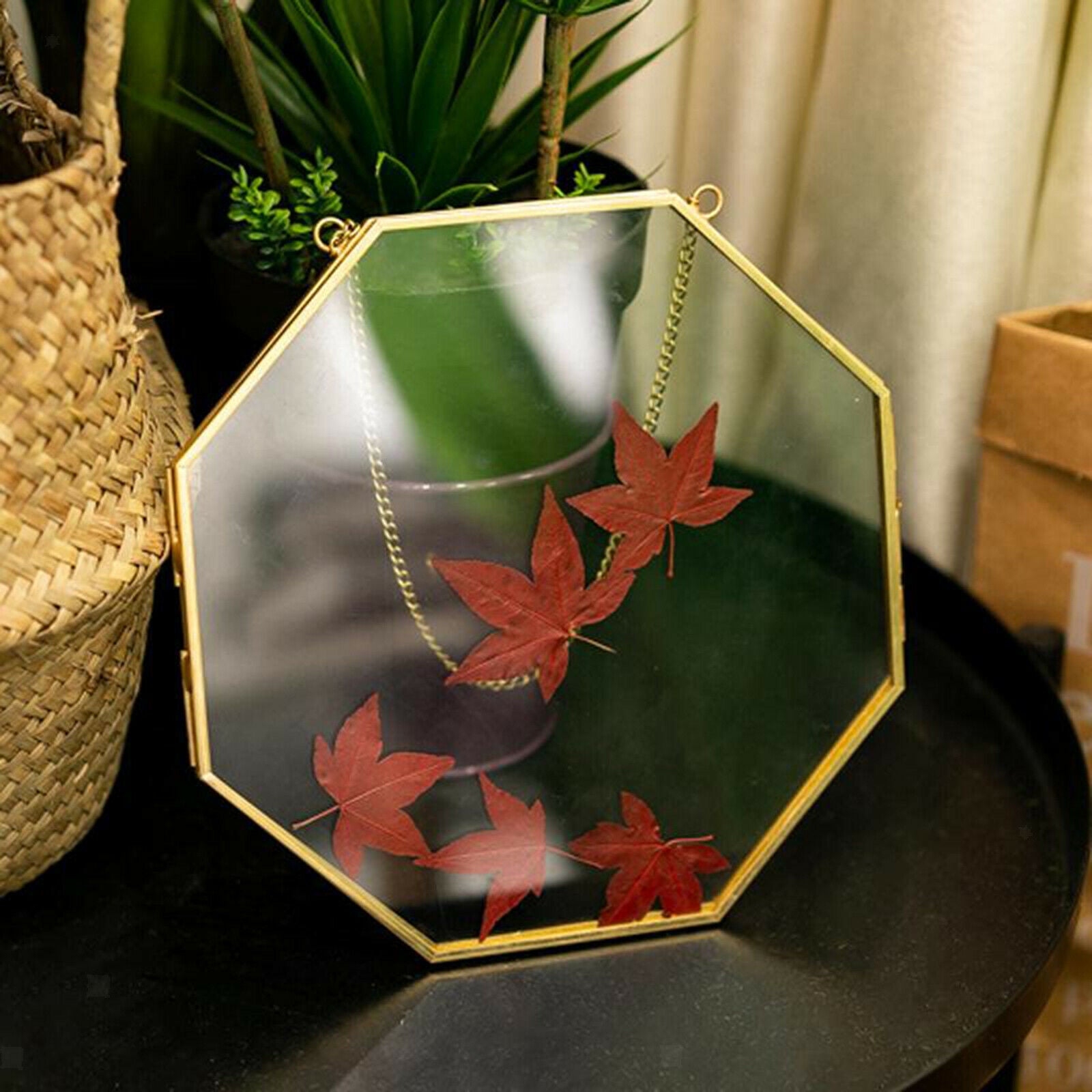 Brass Hanging Photo Frame Picture Frames Clip for Display Plant Specimen