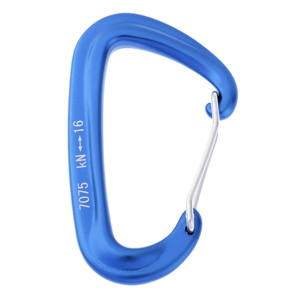 2X Aluminum Wire Gate Hammock Safety Carabiner D Type Keychain Buckle Blue