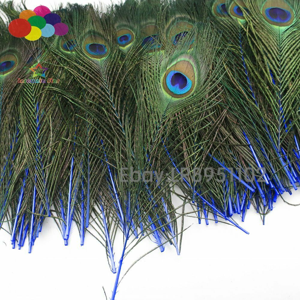 100PCS Sapphire Peacock Feather family wreath decorates material 25-30cm wedding