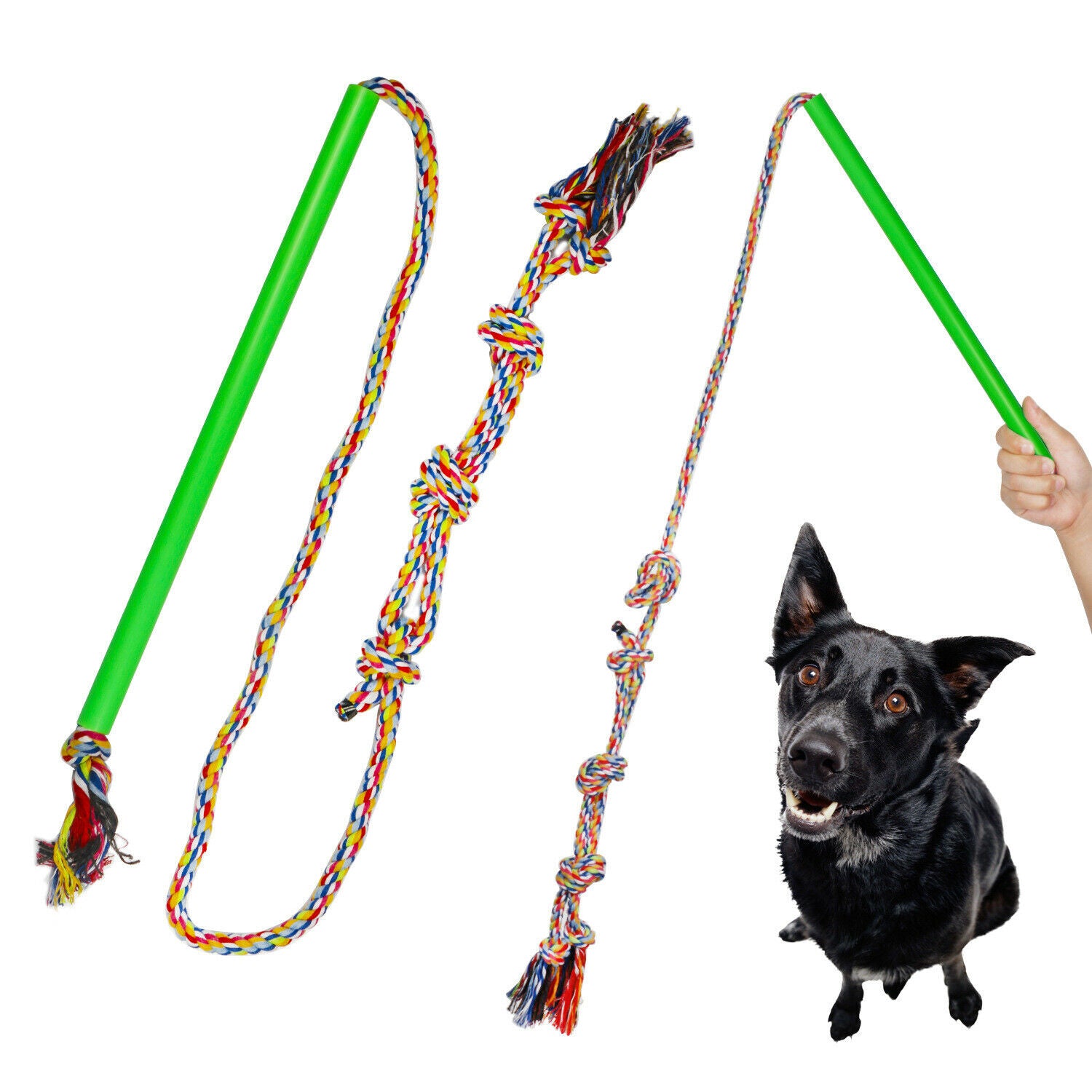 Dog Cat Extendable Teaser Pet Training Stick Pole Chasing Tail Exerciser Rope