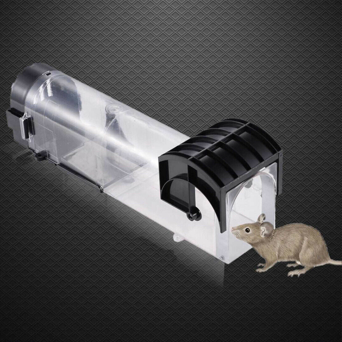 Black Rodent Rat Catch Cage 2Pcs Live Mice Trap No Kill Mouse Catcher Humane Atn