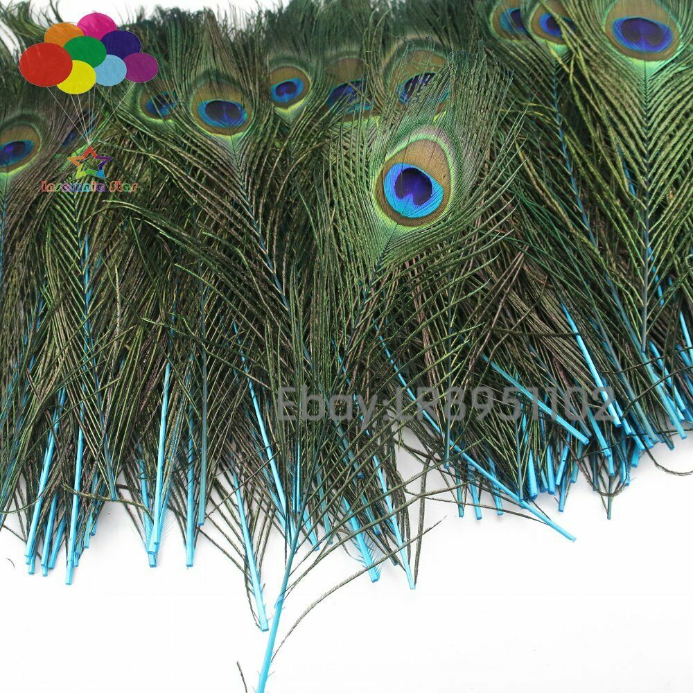 Wholesale 100pcs 25-30 cm Lake blue Peacock Tail Feathers eyes for DIY clothes