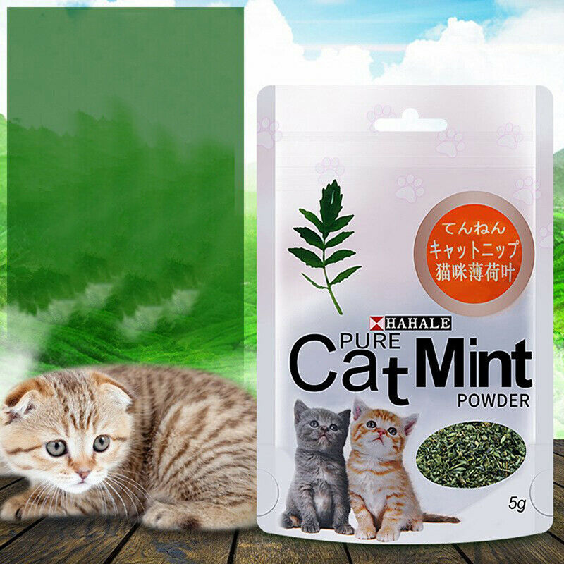 Natural Premium Catnip Menthol Organic 5g Flavor 100% Snacks Catnip Pet  Lt