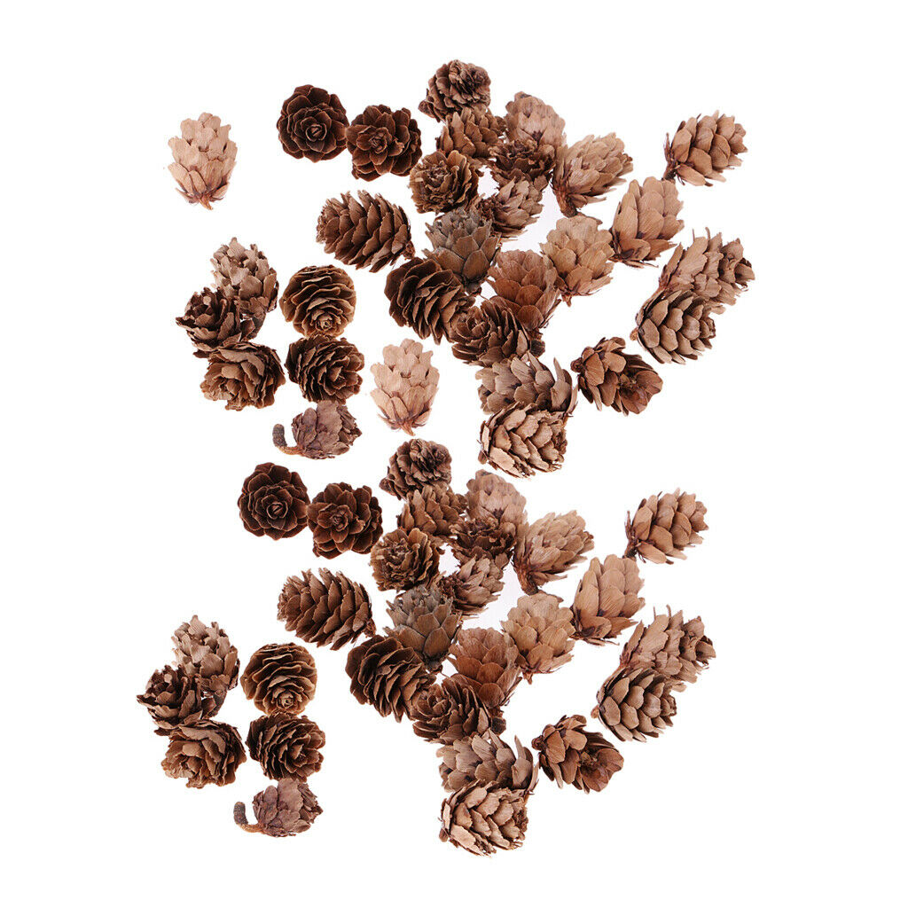 Set of 60 Pine Cones Decorative Nuts Pinecone Christmas Tree Home Supplies
