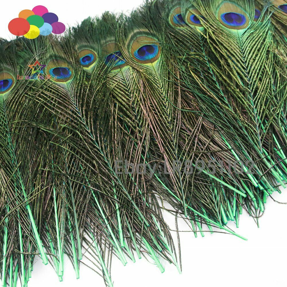 100pcs Peacock Tail grass green 25-30cm Feather Eyes Decoration Wedding Party