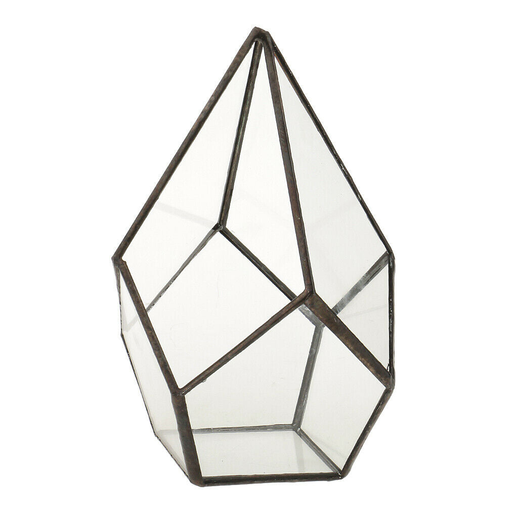 Clear Glass Terrarium Box Open Fern Moss Succulent Planter Case Flower Pot