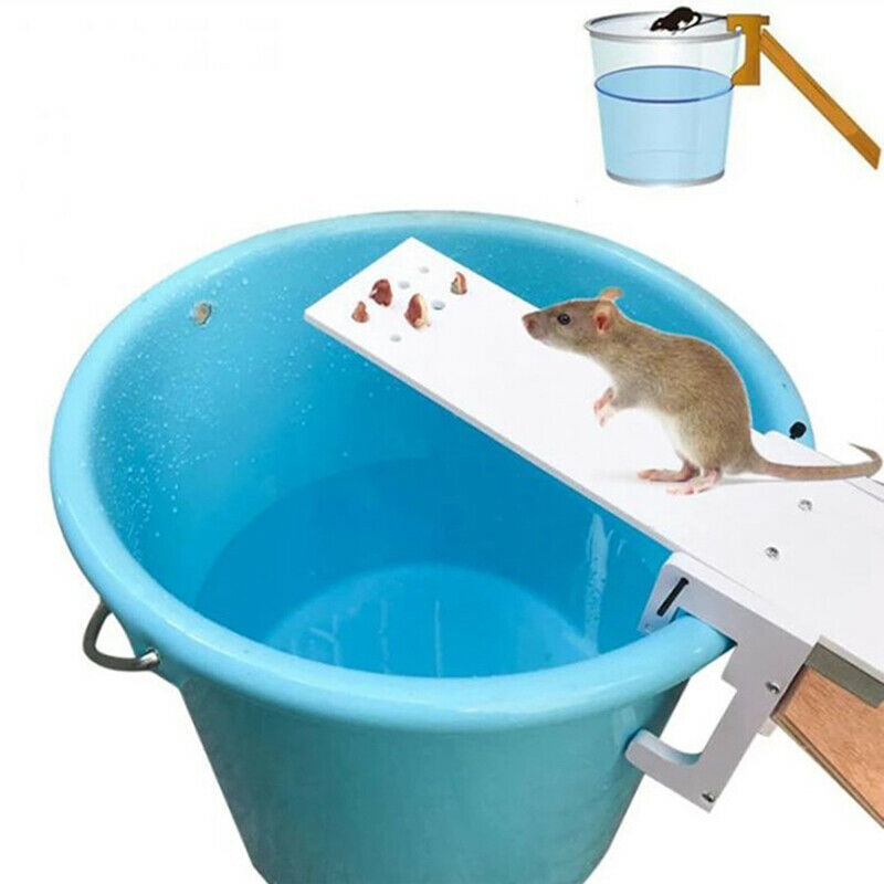 Non-toxic Home Garden Rat Trap Seesaw Mouse Catcher Bait Rat ControllerSJCA