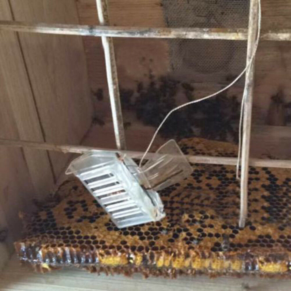 1pc Plastic Queen Cage Clip Bee Catcher Beekeeper Beekeeping Tool EquipmenY1