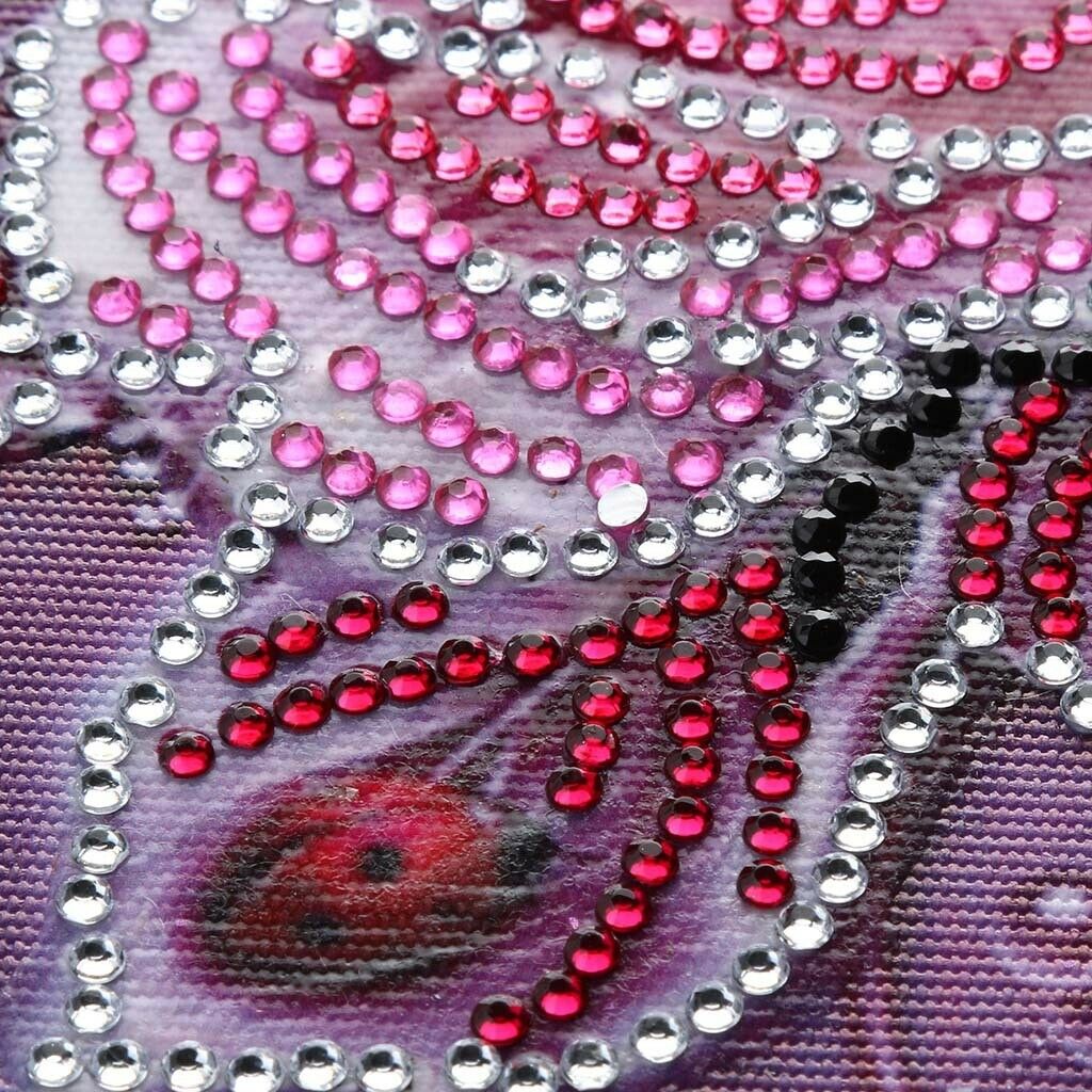 Pack of 2 DIY Special Shaped 5D Diamond Painting Mosaic Cross Stitch Kit