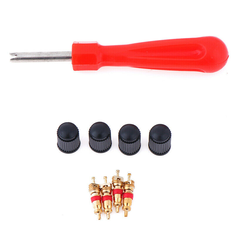 1Set Tire Valve Service Kit Valve Cores Screwdriver Tire Repair Car Motor.l8