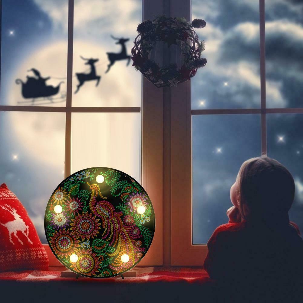 Diamond Painting LED Night Lamp Special Shape Partial Drill Xmas Home Decor @