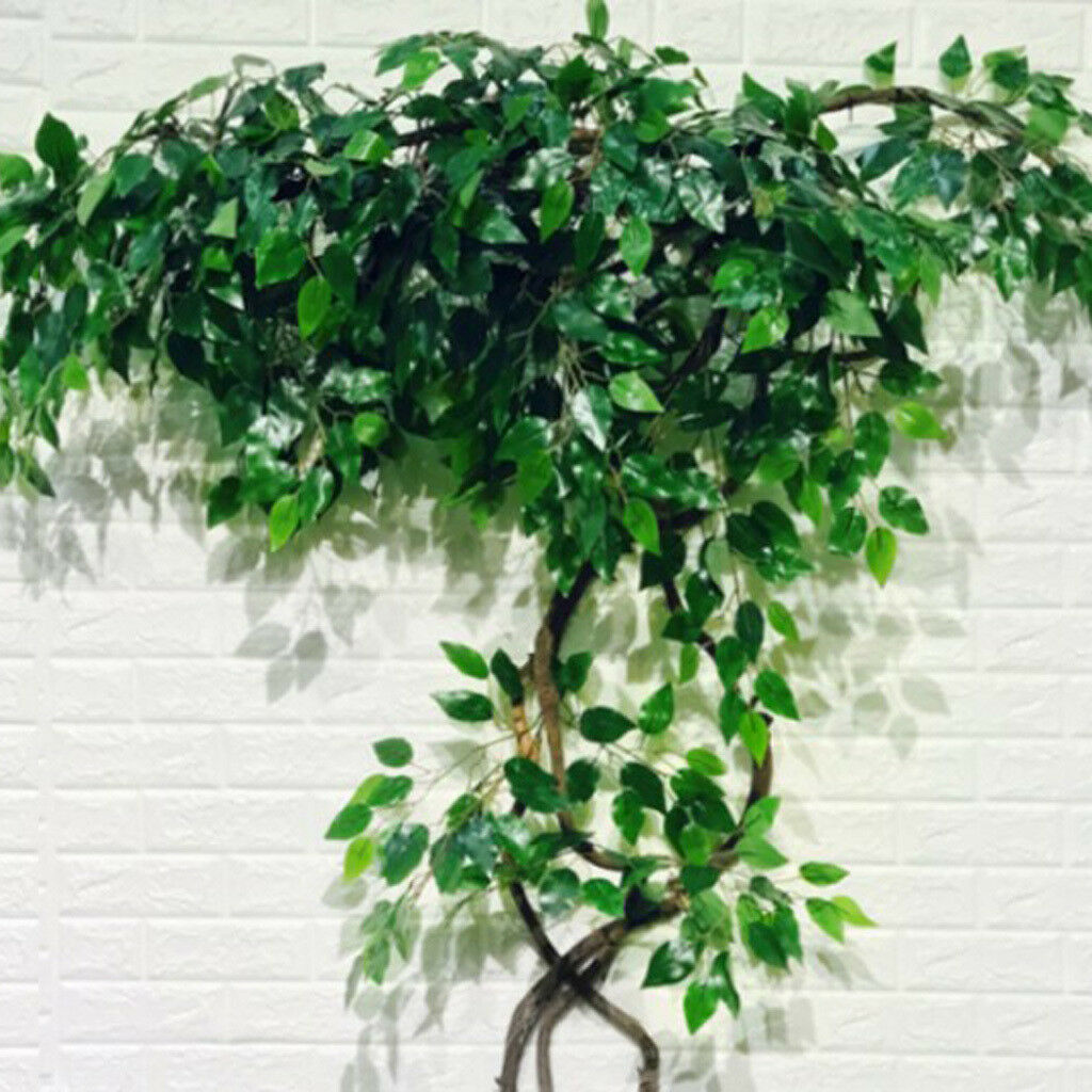 Bundle Flexible Nature Dried Rattan Vine for Home Bar Wedding Party Decor