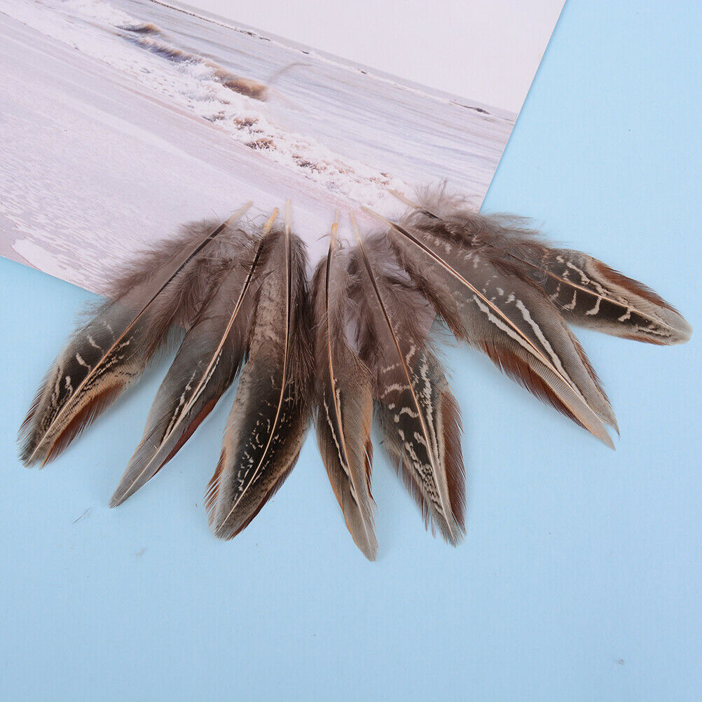 50pcs/set pheasant feathers 5-10cm chicken plumes for carnival diy craft .l8