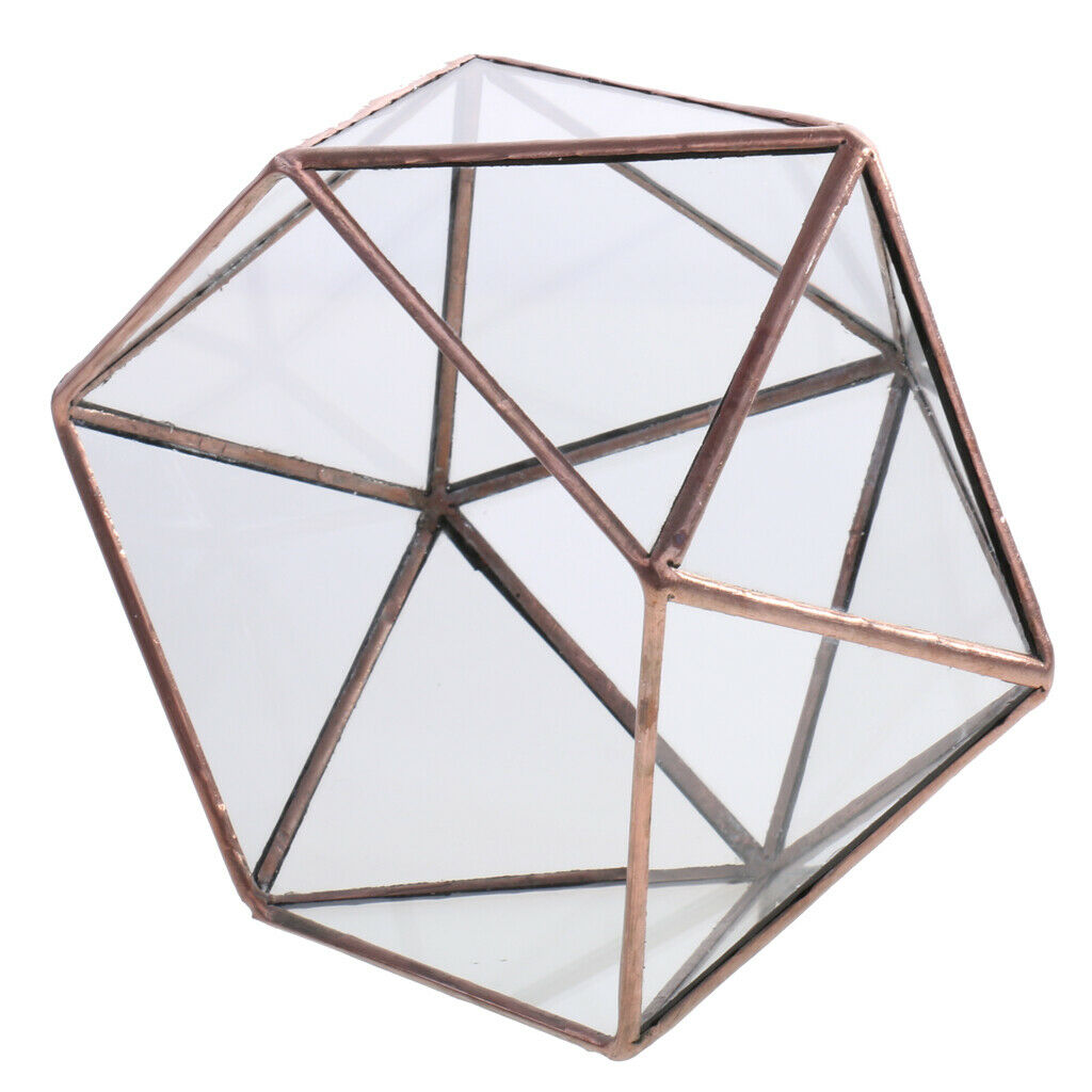 2x Glass Brass Terrarium Box Tabletop Succulent Plant Planter Flower Pot