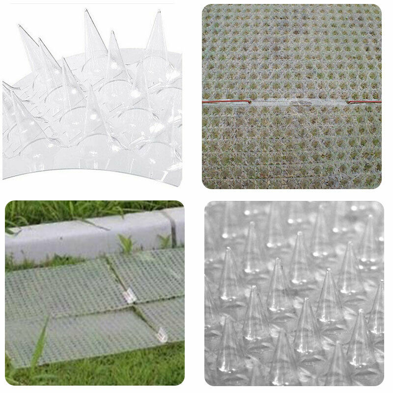 1Pcs Fence Wall Spikes Cat Animal Repellent Anti Theft Walls Sheds St.l8