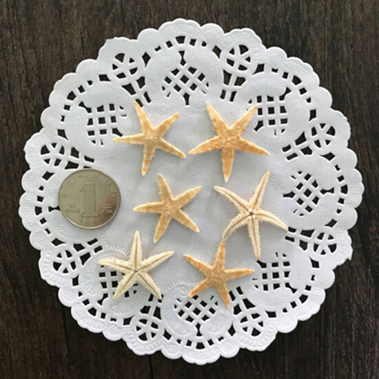 20 Cute  Small Mini Starfish Sea Star Shell Beach Deco Craft DIY Making 3cm-5cm
