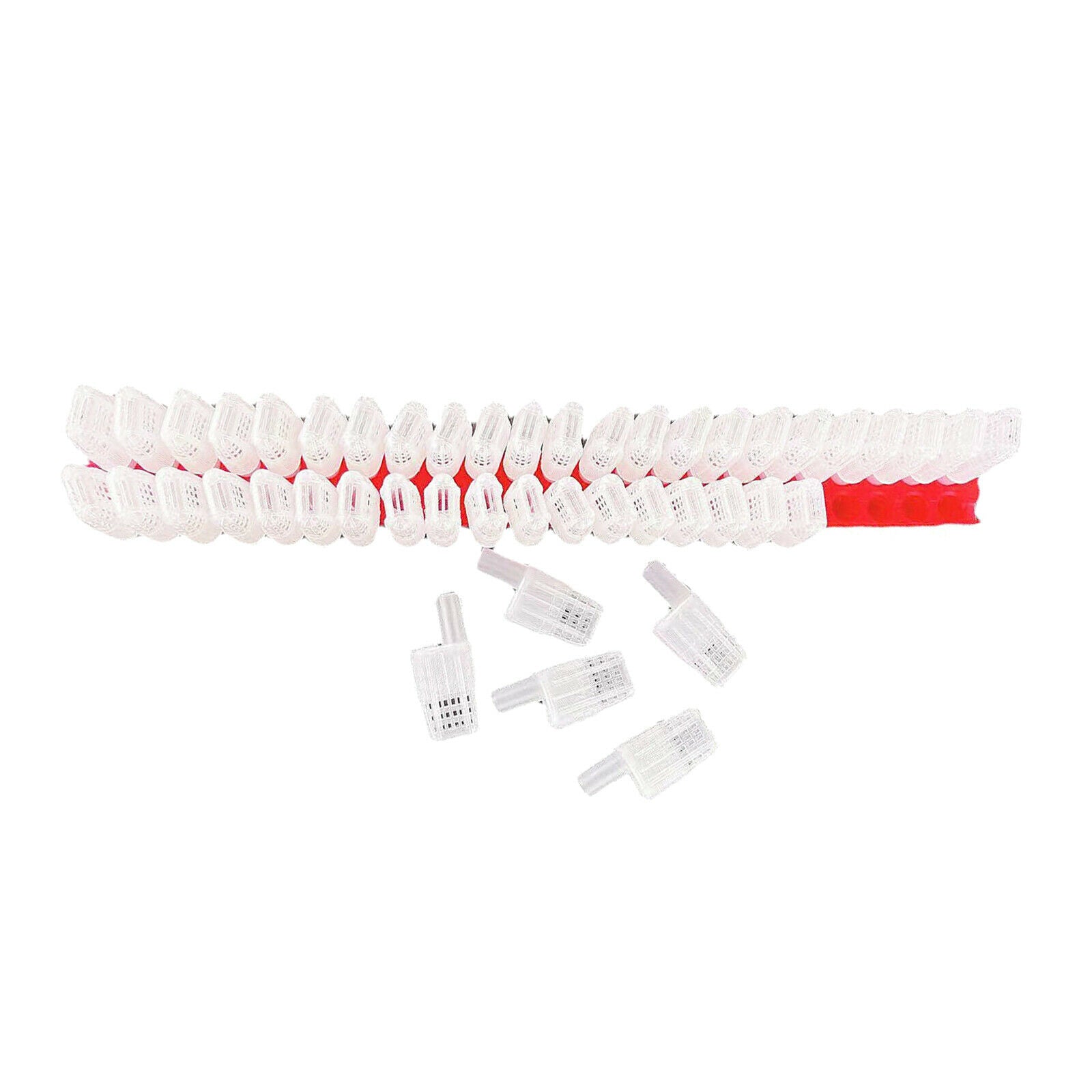 46x Professional Plastic Queen Bee Moving Isolator Trap Cage Case Beekeeping