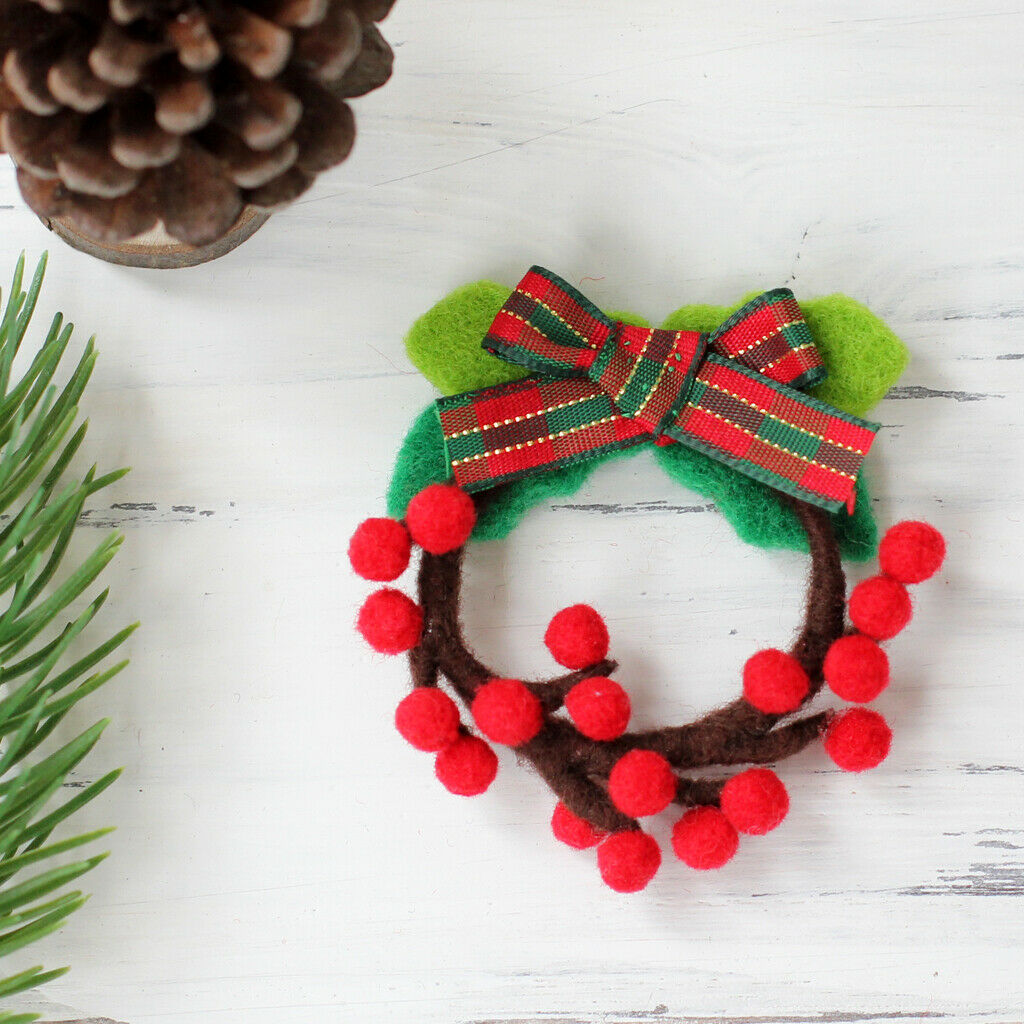 Brooch Needle Felting Kit For Beginners with Basic Tools Tutorials Wreath